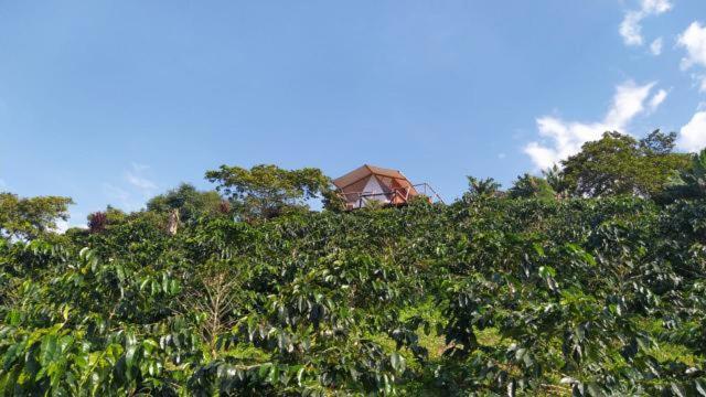 Glamping Orosierra Chinchiná Exterior foto
