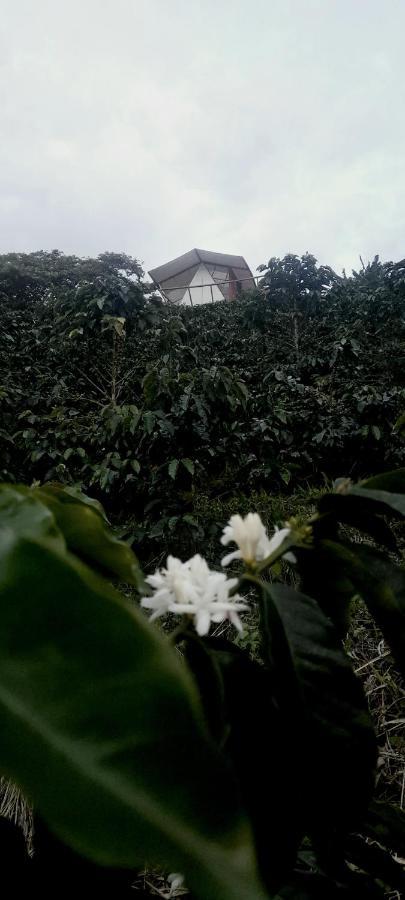 Glamping Orosierra Chinchiná Exterior foto